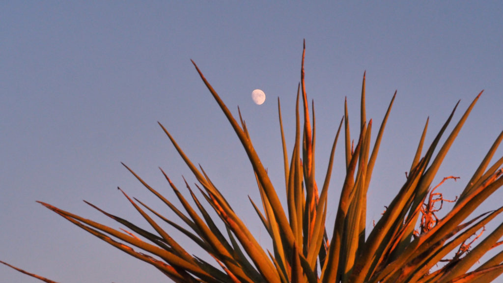 the moon between objects—