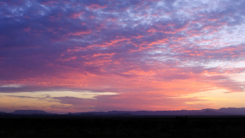 Strung perfectly on the necklace of days. —Joy Harjo