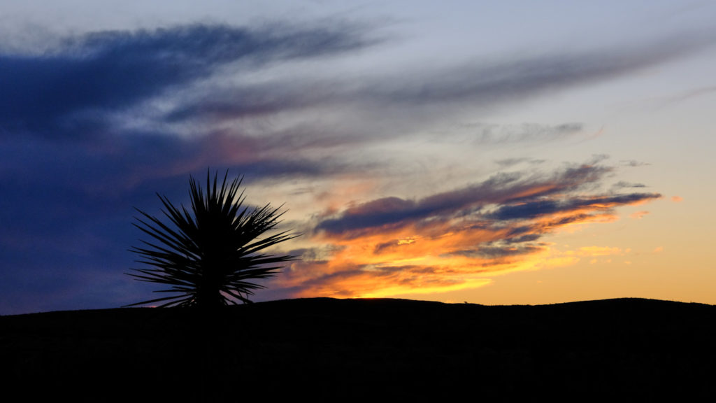 Shaking, I felt earth as part of the sky. And saw