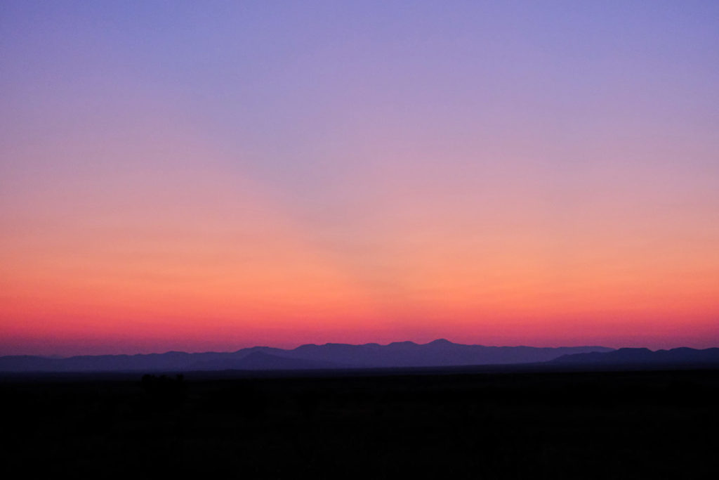 over the prairies and the deep trees, —Mary Oliver