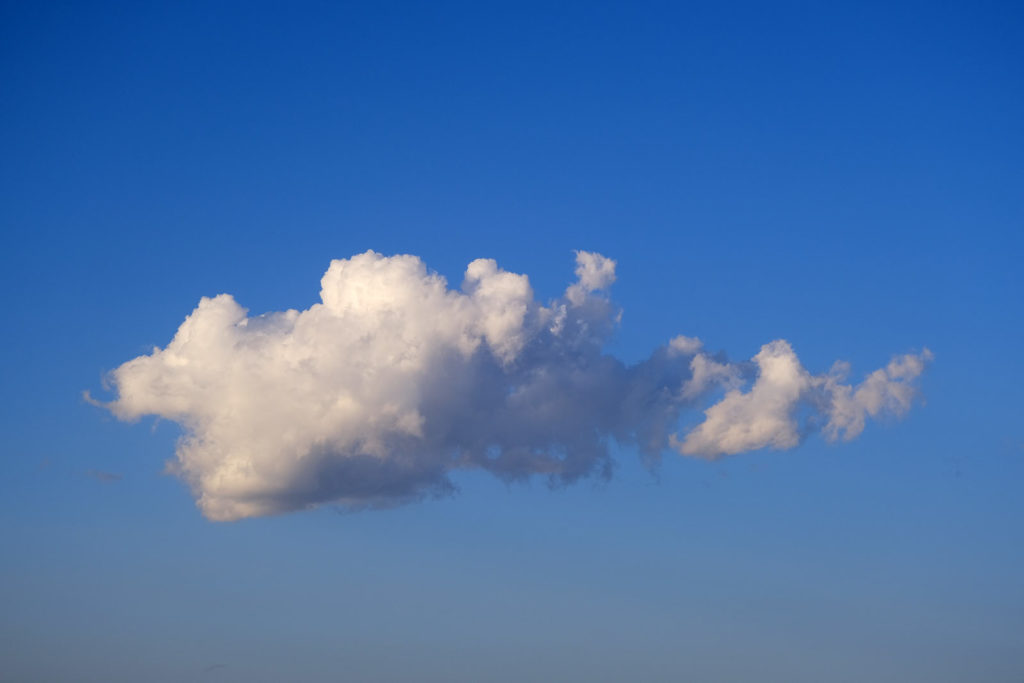 Clouds which had cut themselves on a sharp winter sunset