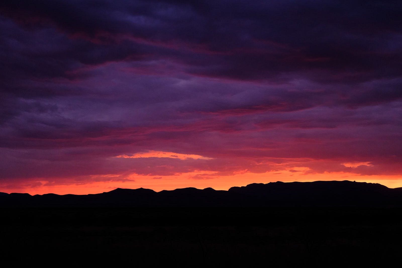 While barred clouds bloom the soft-dying day,