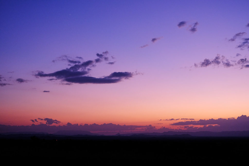 at daybreak singing the new song —W. S. Merwin