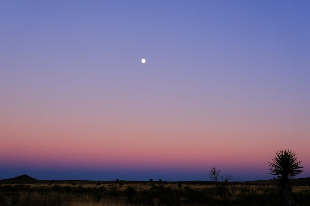 I have spent a star age in flames —Louise Erdrich