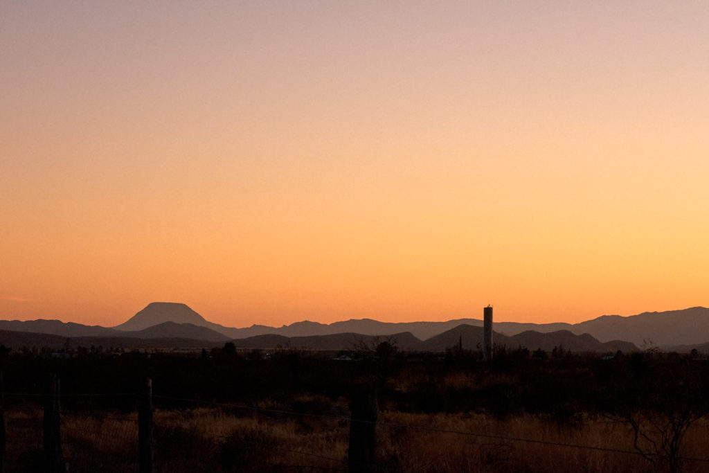 This, and my heart, and all the fields — —Emily Dickinson