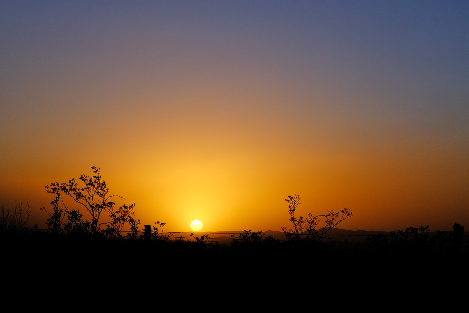 Let the / desert bloom through ruins we can look out of, let us