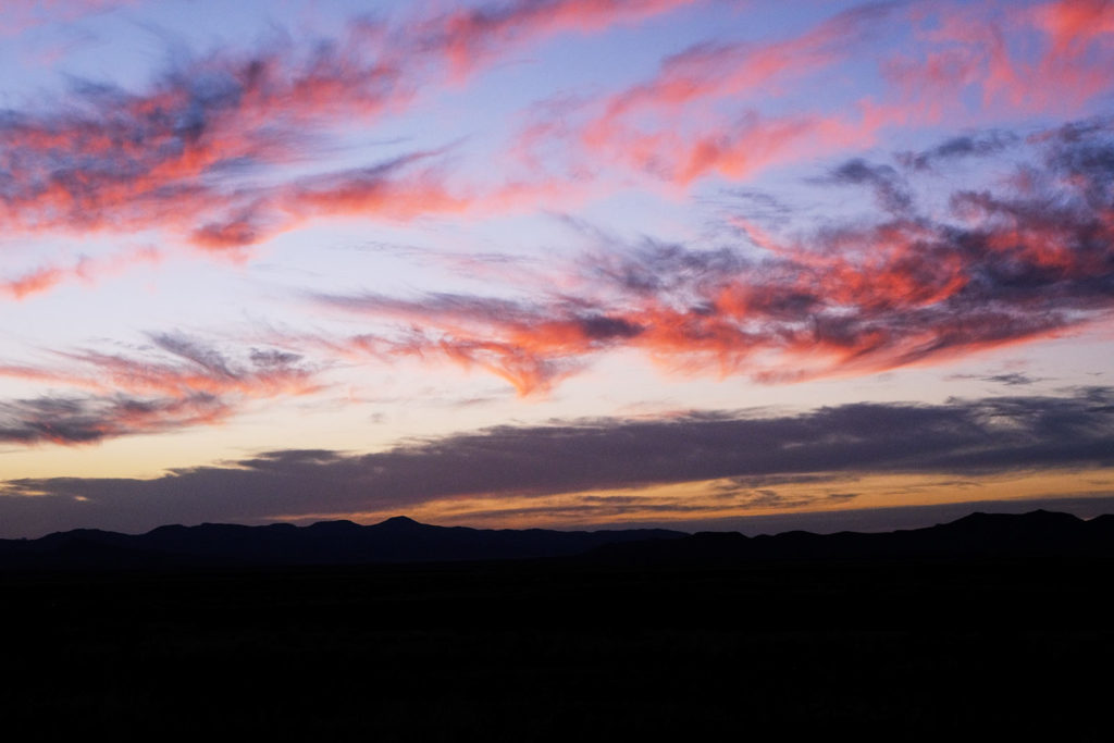 A single crane flies late to roost.