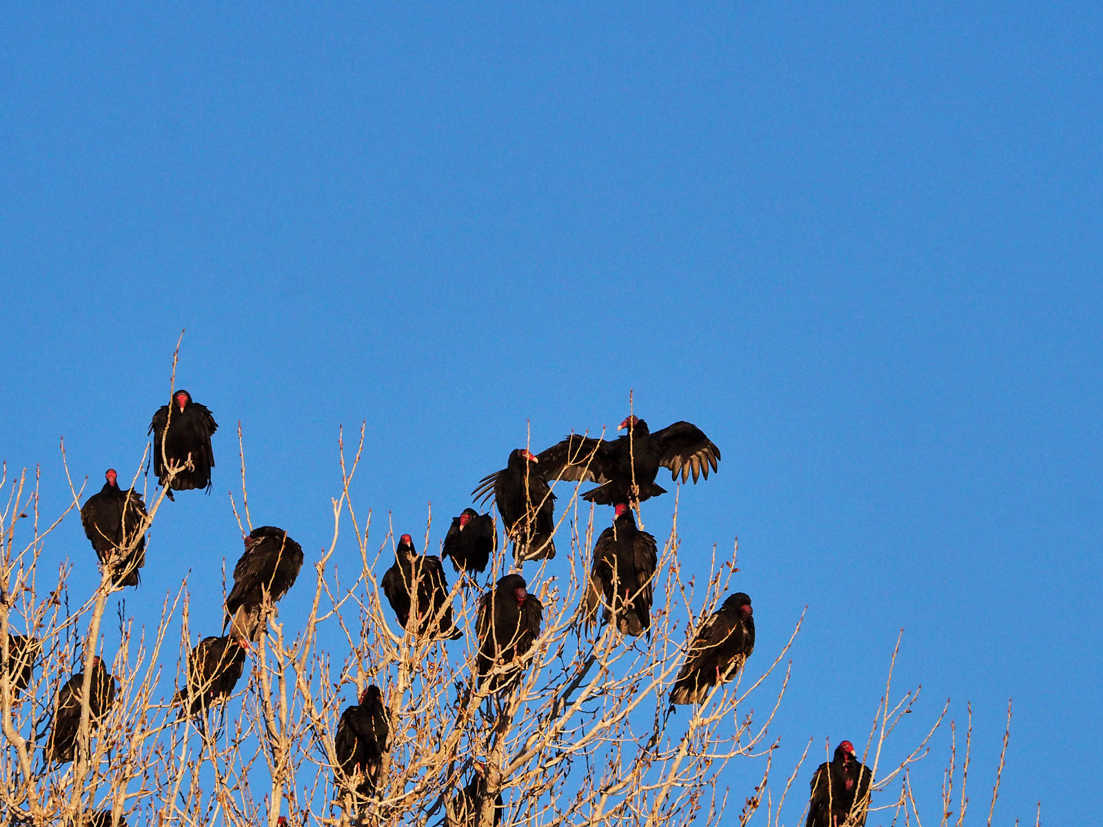 Spring comes as sharply now as then—