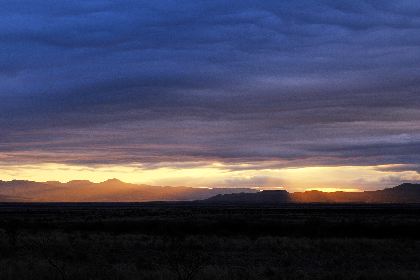 This morning this planet is so loud with itself—