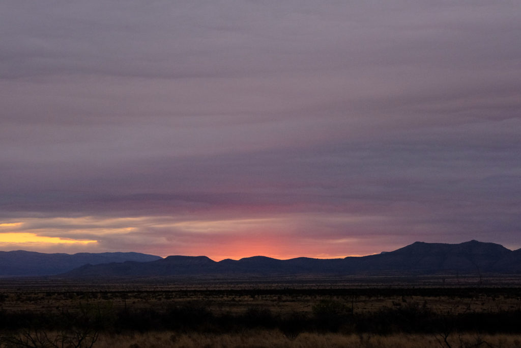 that I can hardly hear my own lamentations. This planet. —Catherine Pierce