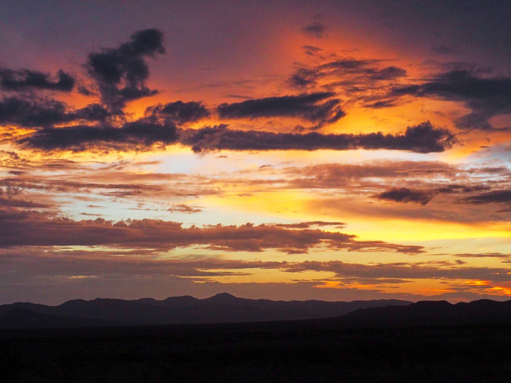 like pale clouds in a moving sky? —Harriet Zinnes