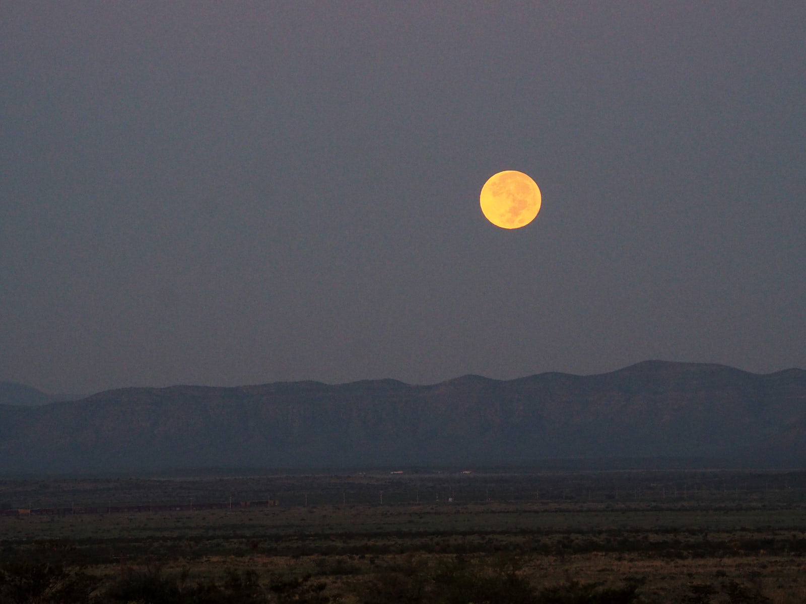 And so, they watch / over us from the firmament at dusk and dawn