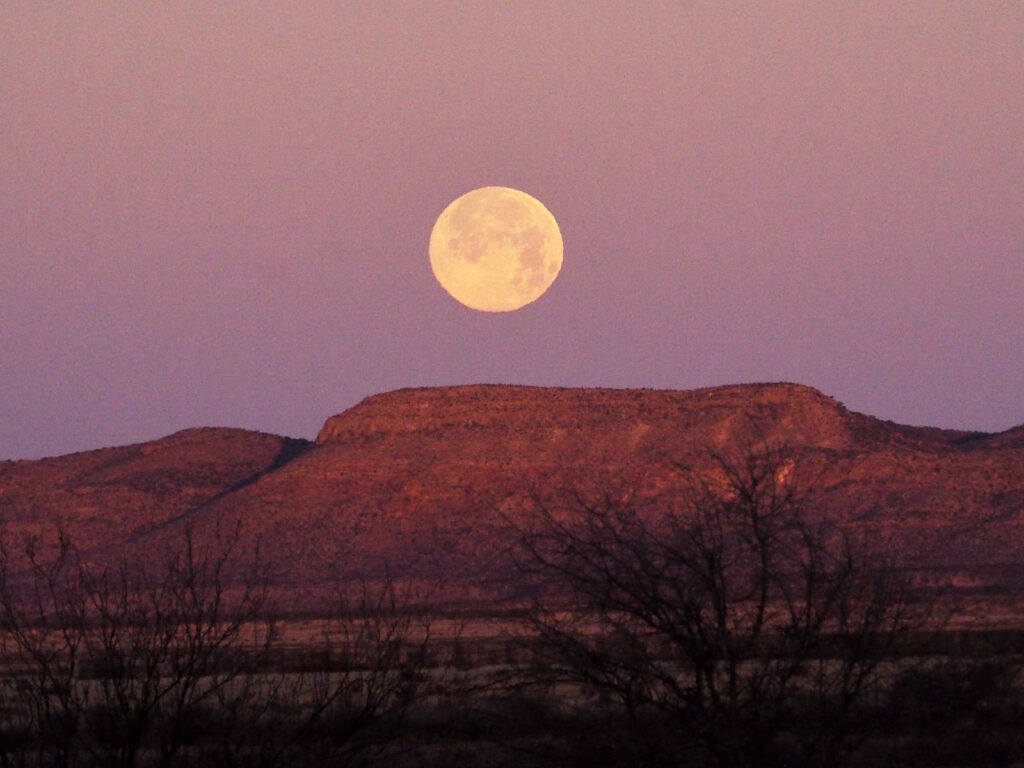 strongest point of time. —Joy Harjo