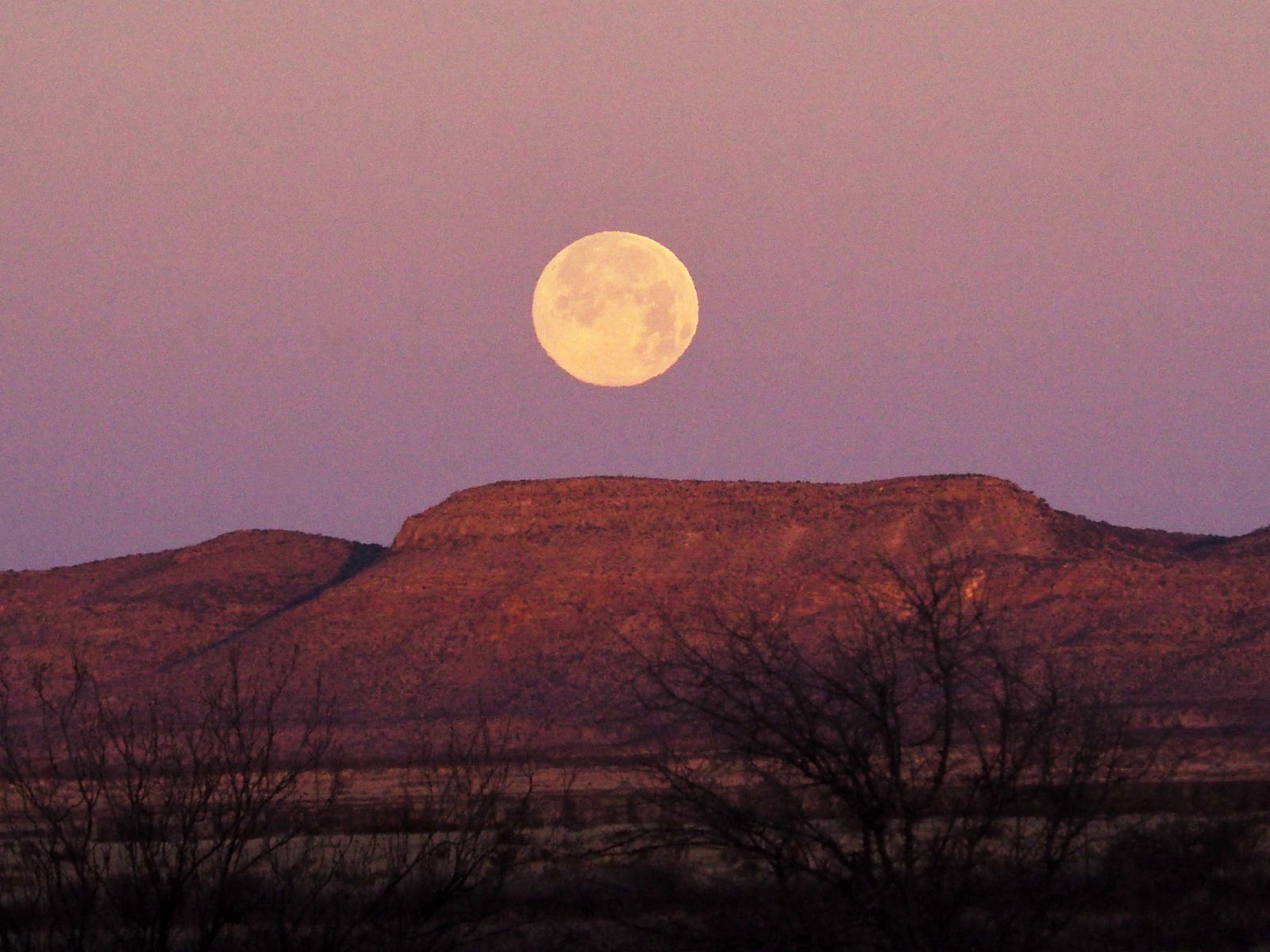 Remember the moon, know who she is.