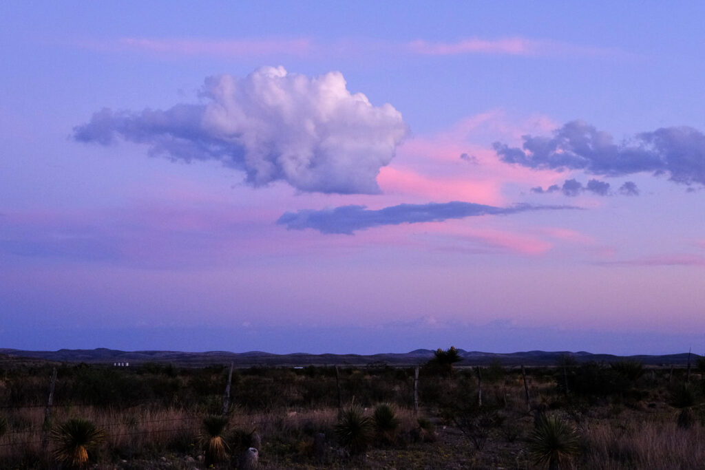 world but I said no in thunder. —Jim Harrison