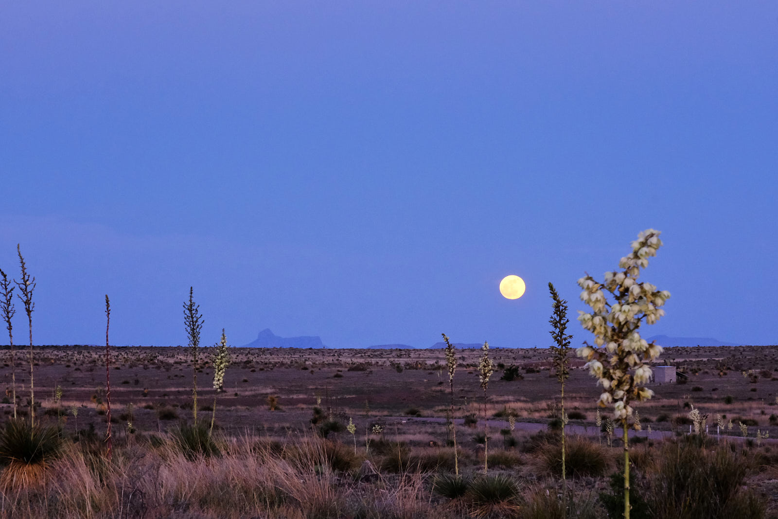 Is it a sin to take the moon? On a night like this?