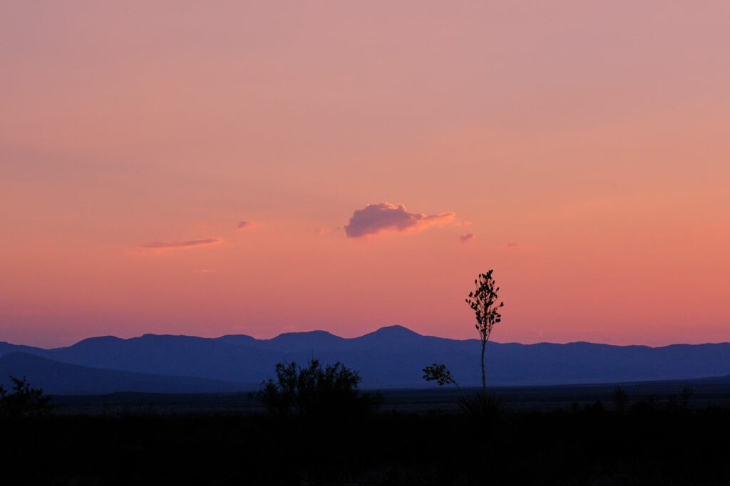 before. Like at sunset. Or every time it snows. —Mark Leidner