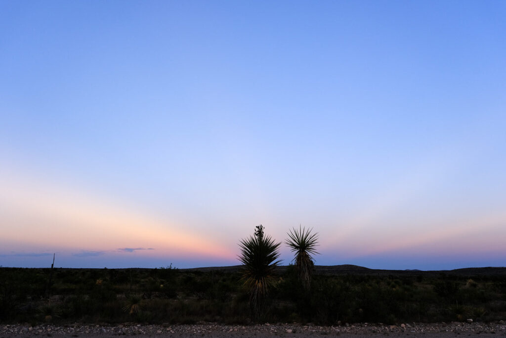 waves pass through its fingers. —Meret Oppenheim, translated by Kathleen Heil