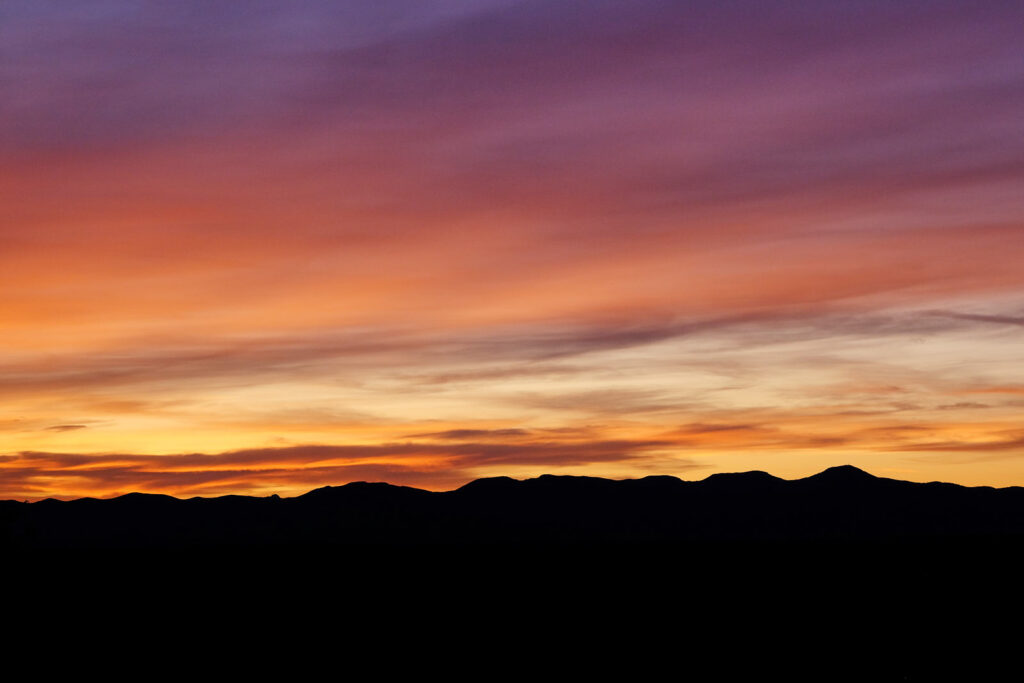 beloved on the earth. —Raymond Carver