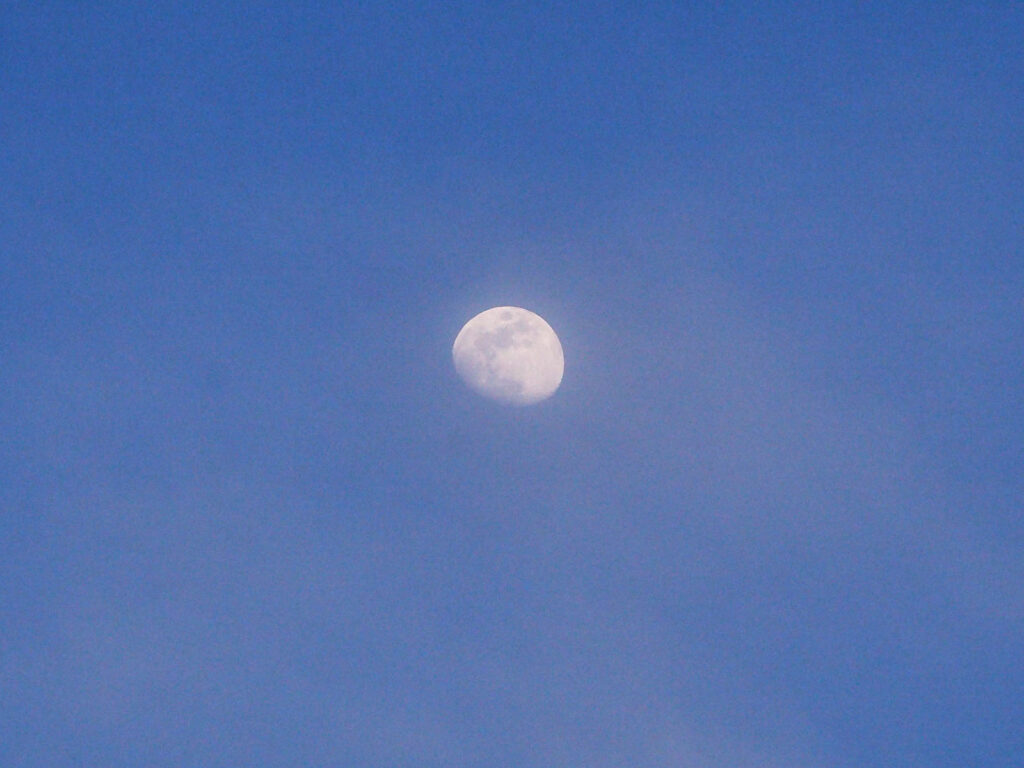 A Moon in it travelling across the bridge in one