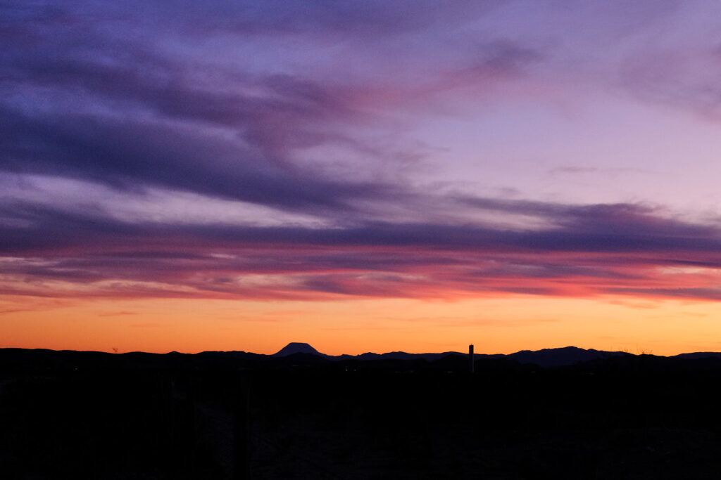 me wired and wild like the bare tree and the / shedding sky ... —Emily Berry, after Mary Oliver and Tina Turner