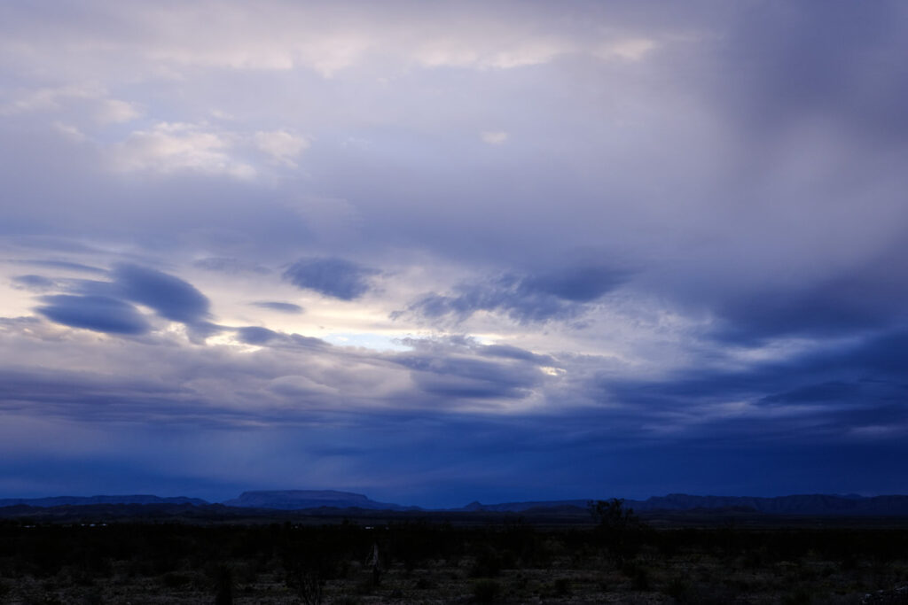 time, be careful of the birds —Neeli Cherkovski 