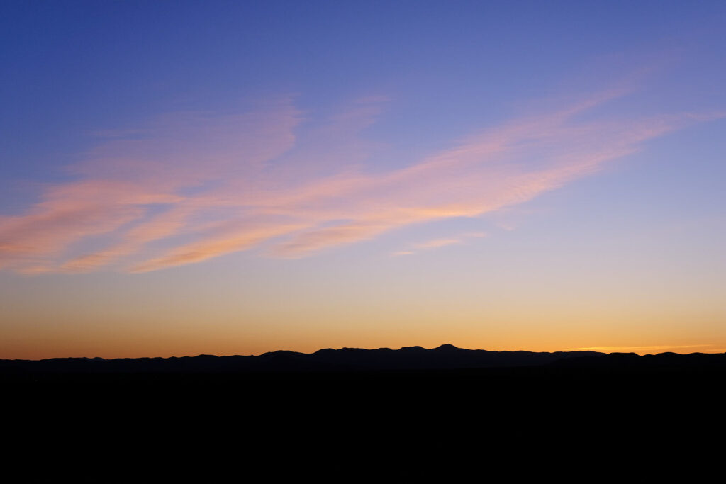 And that cooing and chucking of the dove I hear is also a kind of song. —Mark Wunderlich