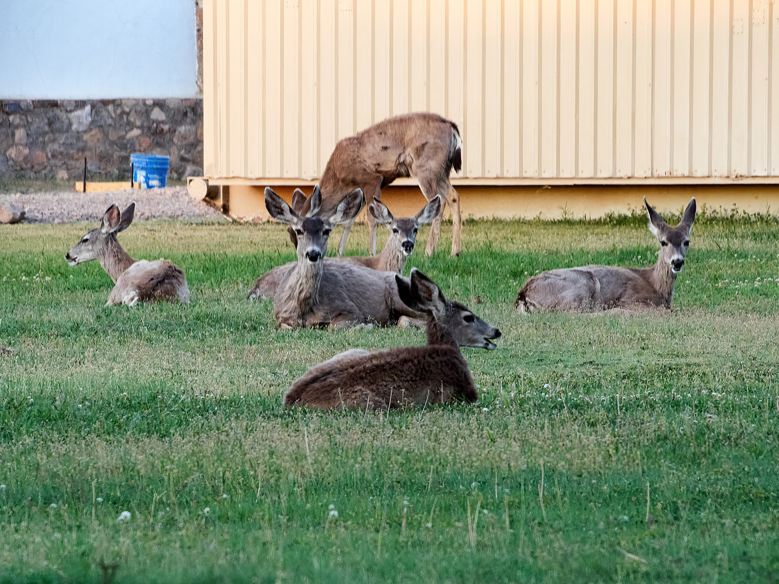 in mid-April; an infinite number of creatures