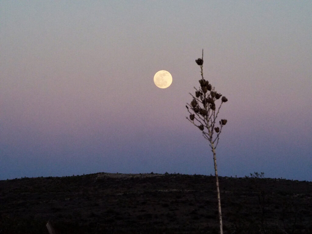 Earth-dust,