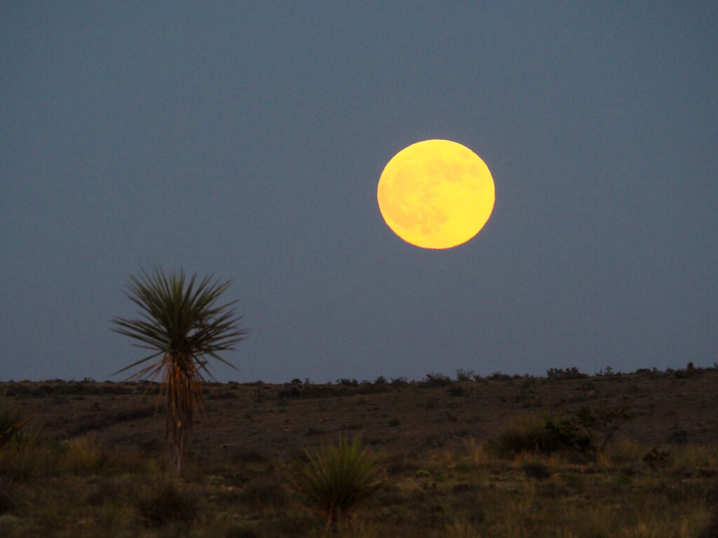 Longing. It’s lit by the full moon as it makes a path