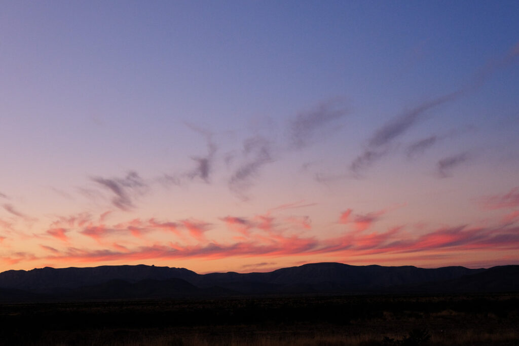 the pale cloudy sky, —Ellen Bass