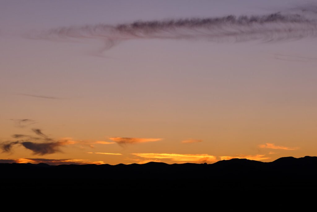 the bird who stitches together the last sky must sing the name into existence